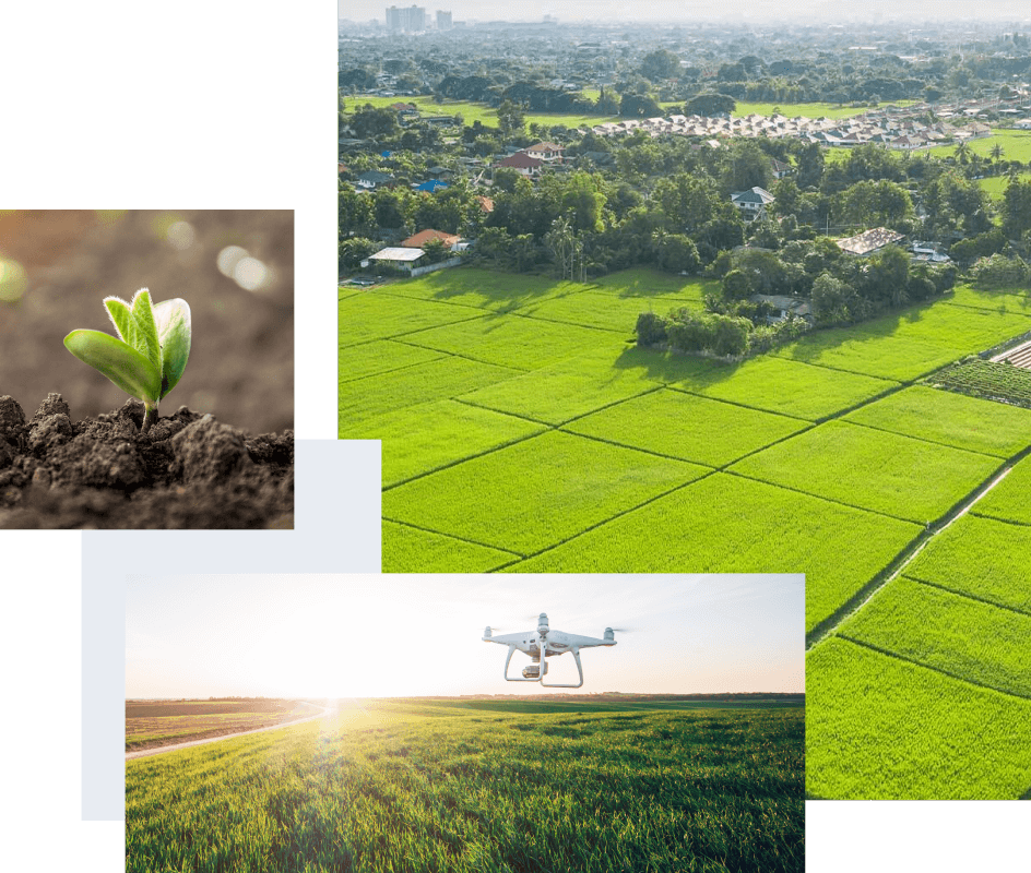 Farmland Images